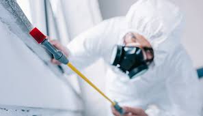 Real Estate Pest Inspections in Succasunna, NJ